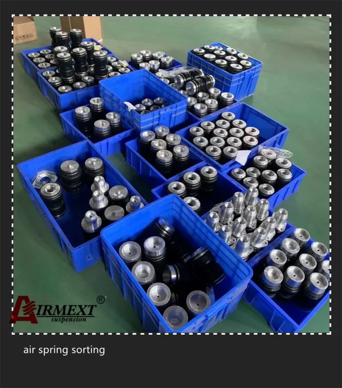 2018 + Crown S220 Toyota Air Suspension Air Spring Strut Brand New 6